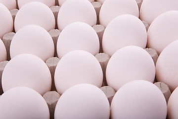 Image showing Eggs in a box