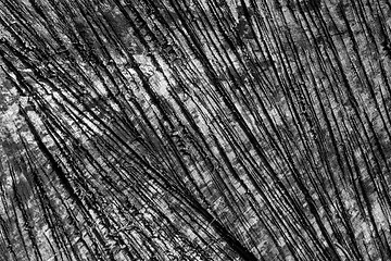 Image showing Wood texture grunge background