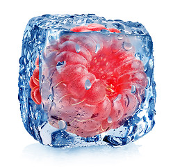 Image showing Pink raspberry in ice
