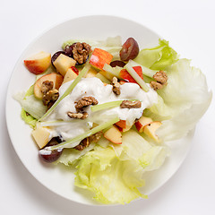 Image showing Waldorf salad from above