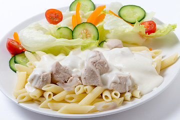 Image showing Chicken and pasta with white sauce side view