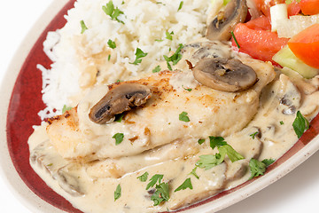 Image showing Chicken stroganoff plate at an angle