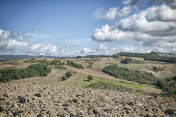 Image showing Tuscany