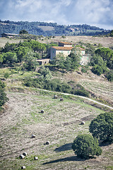 Image showing Tuscany