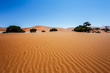 Image showing beautiful landscape of Hidden Vlei in Namib desert 