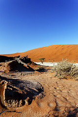 Image showing beautiful landscape of Hidden Vlei in Namib desert 