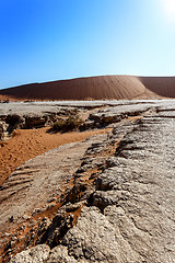 Image showing beautiful landscape of Hidden Vlei in Namib desert 