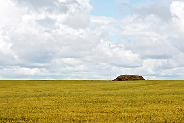 Image showing Grain field with haystacks