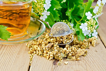 Image showing Tea from flowers of viburnum in glass cup and strainer on board