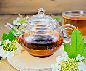 Image showing Tea from flowers of viburnum in glass teapot on board