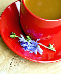 Image showing Chicory drink in red cup and flower on board