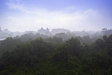Image showing Tropical Rain.