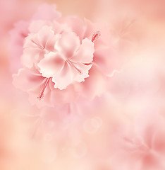 Image showing Floral Background