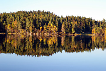 Image showing Fall