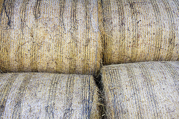 Image showing Bales of hay