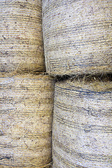 Image showing Hay bales