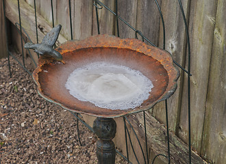 Image showing Frozen Bird Bath