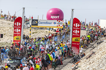 Image showing The Peloton on Ventoux Mountain