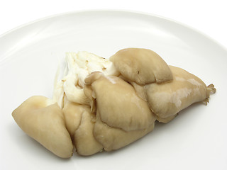 Image showing Oyster mushrooms on a white plate of chinaware
