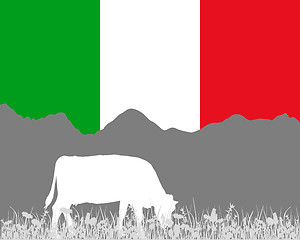 Image showing Cow alp and italian flag