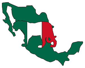 Image showing Jaguar Mexico