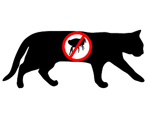 Image showing Cat flea prohibited