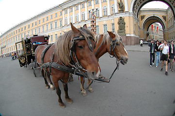 Image showing Carriage near the Hermitage in St. Petersburg