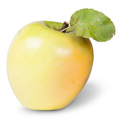 Image showing Yellow Apple With Green Leaf