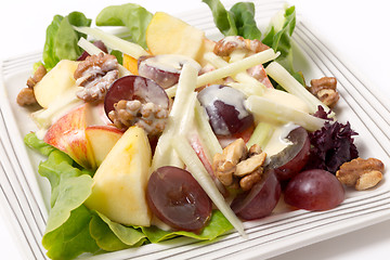 Image showing Waldorf salad over white closeup