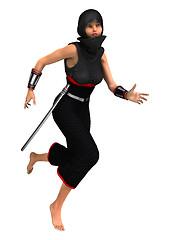 Image showing Ninja