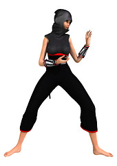 Image showing Ninja