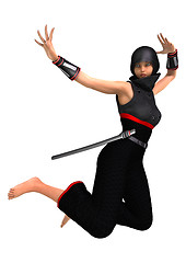 Image showing Ninja