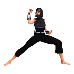 Image showing Ninja