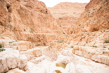 Image showing Adventure travel in stone desert of Middle East