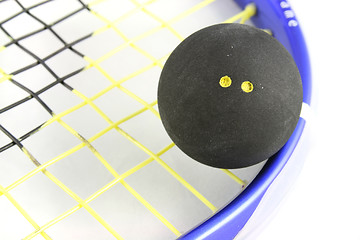 Image showing Squash Ball on Racket