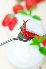 Image showing organic Greek yogurt and strawberry