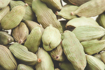 Image showing Green cardamom pods