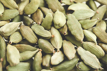 Image showing Green cardamom pods