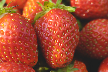 Image showing Garden strawberries close-up