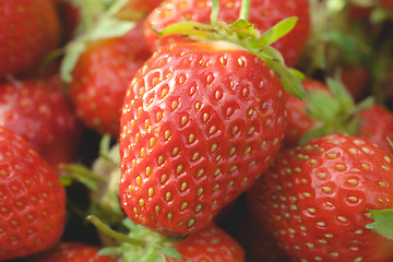 Image showing Garden strawberries close-up