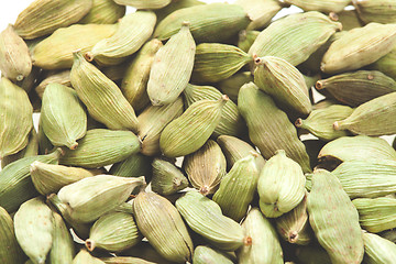 Image showing Green cardamom pods