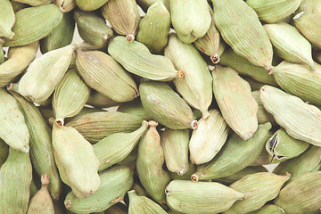 Image showing Green cardamom pods