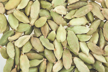 Image showing Green cardamom pods