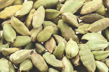 Image showing Green cardamom pods