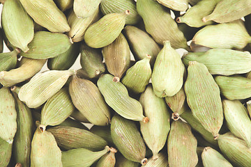 Image showing Green cardamom pods