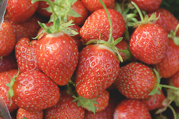 Image showing Garden strawberries close-up