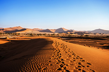 Image showing beautiful landscape of Hidden Vlei in Namib desert