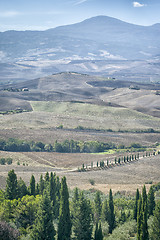 Image showing Pienza Landscape