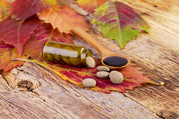 Image showing medicine bottle, pills on leaf and syrup in wooden spoon 