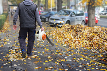 Image showing Worker with a leaf blower 